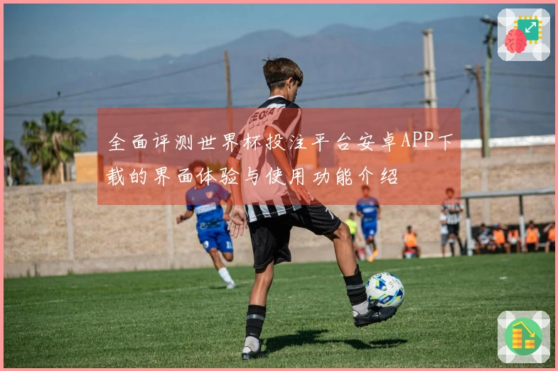 全面评测世界杯投注平台安卓APP下载的界面体验与使用功能介绍