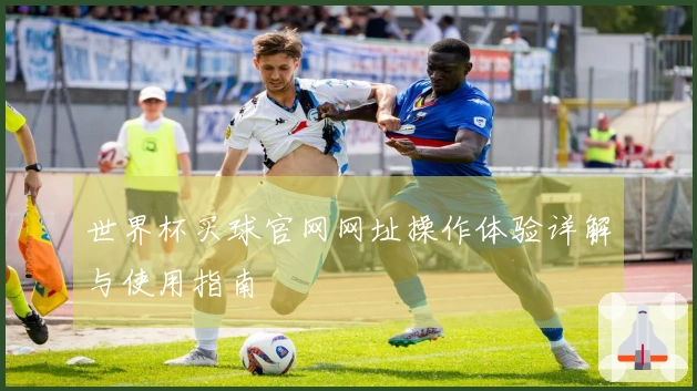 世界杯买球官网网址操作体验详解与使用指南