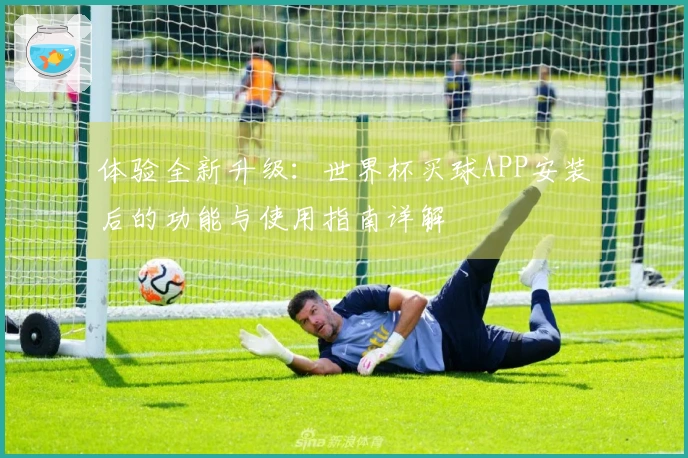 体验全新升级：世界杯买球APP安装后的功能与使用指南详解