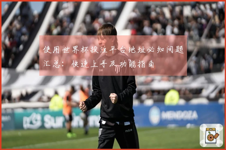 使用世界杯投注平台地址必知问题汇总：快速上手及功能指南