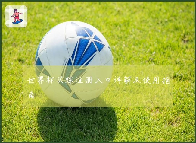 世界杯买球注册入口详解及使用指南