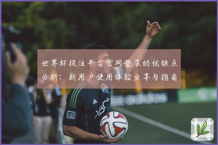 世界杯投注平台官网登录的优缺点分析：新用户使用体验分享与指南