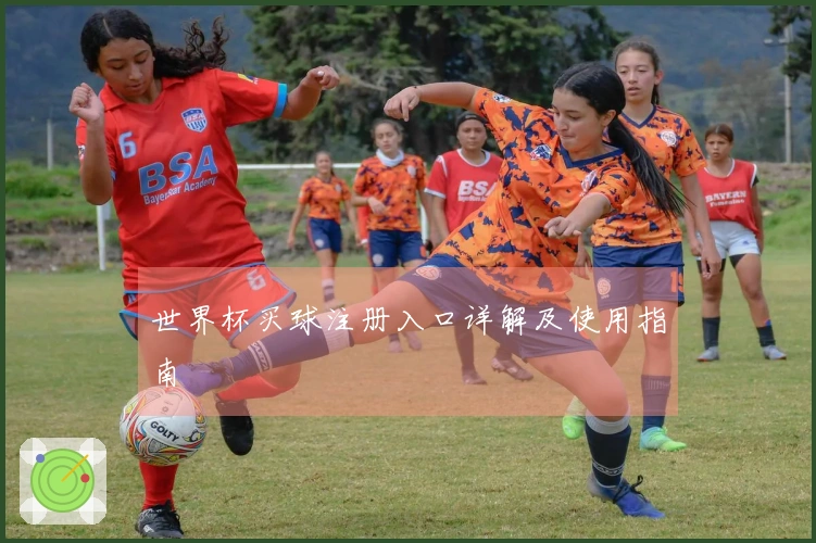 世界杯买球注册入口详解及使用指南