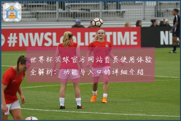 世界杯买球官方网站首页使用体验全解析：功能与入口的详细介绍