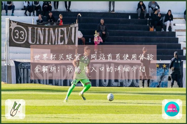 世界杯买球官方网站首页使用体验全解析：功能与入口的详细介绍