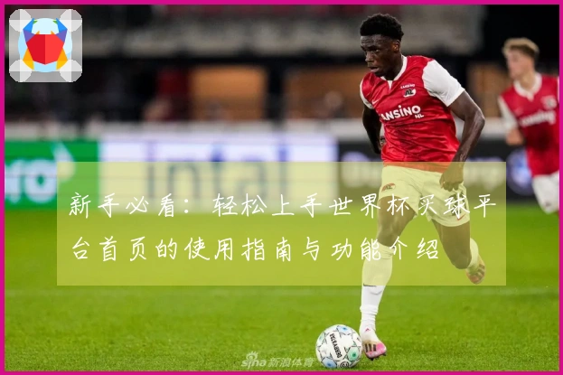 新手必看：轻松上手世界杯买球平台首页的使用指南与功能介绍